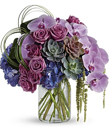 Exquisite Elegance Exquisite Elegance - A sculpture of blooms. Elevate any occasion with this exquisite masterpiece of elegant orchids, roses and graphic succulents, dripping with amaranthus and arranged in an oversized glass vase.. This eye-catching bouquet features purple hydrangea, lavender roses, lavender phalaenopsis spray orchids, hanging green amaranthus, bear grass, green ti leaves, and large green echeveria succulents.