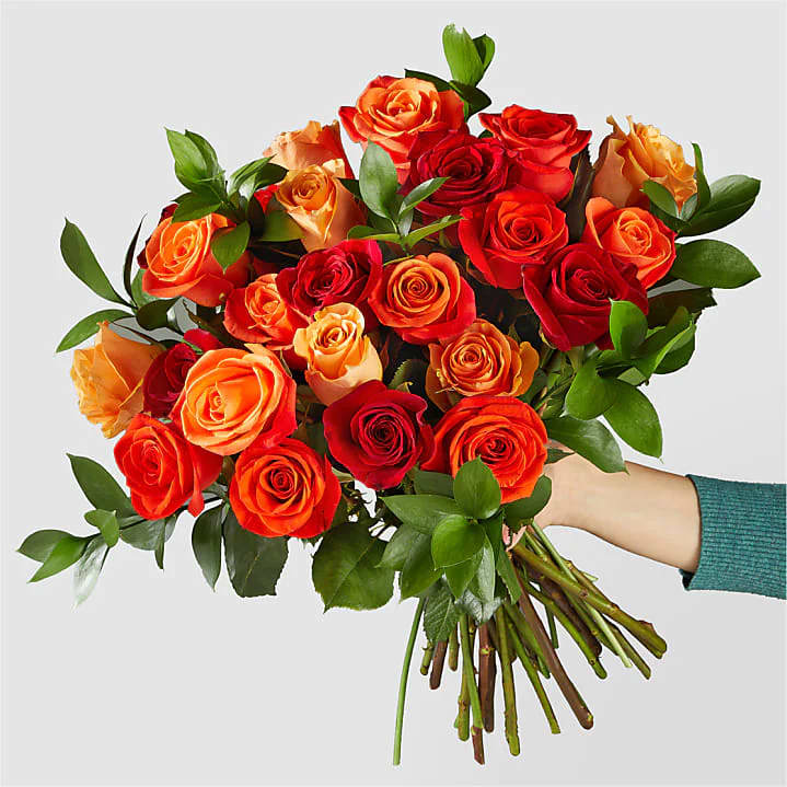 Roses of Spring! - Embrace the warm hues of the season with our delightful 24 Pieces of Roses of spring bouquet. This stunning arrangement captures the essence of fall with its vibrant tones, reminiscent of the changing leaves and the cozy comforts of autumn.  Each rose in this collection is carefully chosen to showcase the diverse colors of the season, from deep reds and burnt oranges to golden yellows. The symphony of autumnal hues creates a striking visual masterpiece, perfect for celebrating the beauty of the harvest season.  Whether adorning your home or sent as a thoughtful gift, our Roses of Autumn bouquet is a timeless expression of warmth and gratitude. Let the colors of fall brighten any space and bring joy to those who receive this exquisite arrangement.