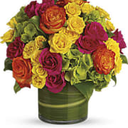 Blossoms in Vogue - High-fashion flowers for the style-minded! This modern presentation of multicolored roses and green hydrangea has a tropical feel thanks to the hot color palette and the aspidistra leaves in the vase. Bright green hydrangea and rich green salal leaves mix with hot pink, yellow, and orange bi-color roses in a clear glass cylinder that's lined with variegated aspidistra leaves. Orientation: All-Around