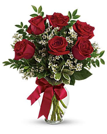 Classic Half Dozen Roses - Red - Somebody's gonna get a beautiful surprise. Imagine her smile when this lovely bouquet of roses arrives at her door - for no special reason at all. Except that you love her. You are going to be such a hero.