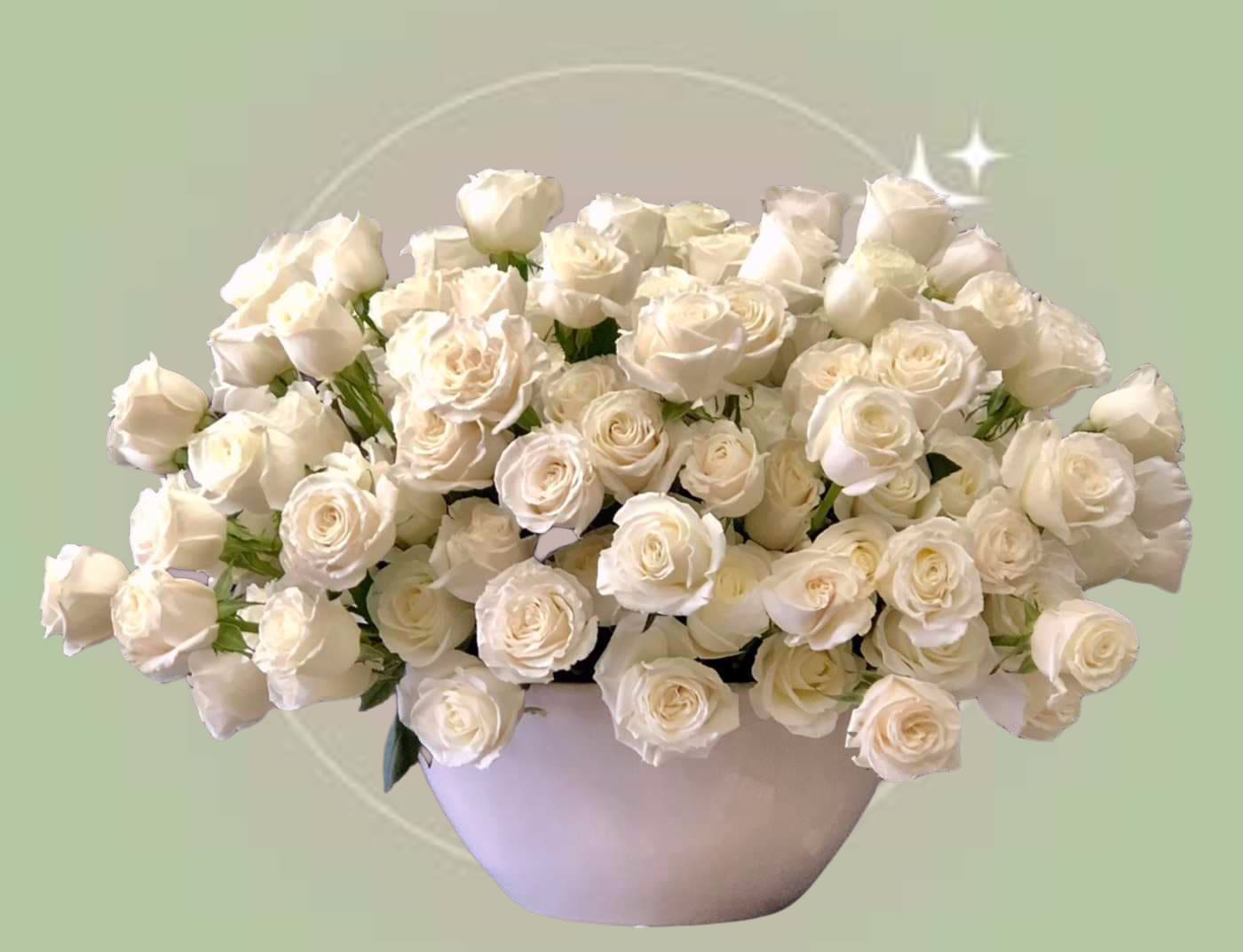 The White Classic - PLEASE NOTE: Although we make all the effort to create a floral arrangement as close to the photo shown, the actual arrangement delivered may vary slightly in its appearance from the photo shown. If you have any questions about your order, we welcome you to call us in or email us to discuss further. Thank you!