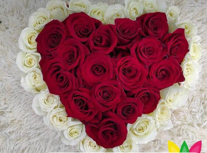 hearts roses - red and white roses, small , medium and large hearts.box