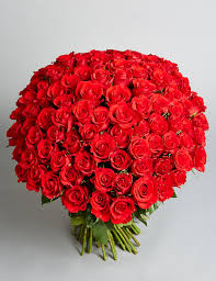 100 Red Roses Hand Tied Bouquet - Wow the one you love like never before with 100 stunning long stem red roses! Our spectacular arrangement is artistically designed by our expert floral artisans with an abundant array of dazzling red blooms and lush greenery .This luxurious surprise is personally hand-delivered for a grand romantic gesture she’ll remember always.