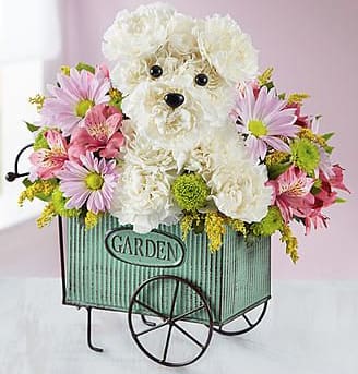 Pup in a Flower Cart Pup in a Flower Cart - Beautiful pup in a flower cart adorned with mix flowers