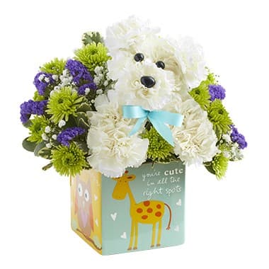 It's a boy Pup 147189B - puppy made from carnations, in a baby cube