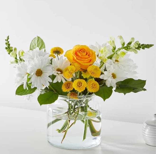Sun Salutation Bouquet - Greet the morning with fresh yellow snapdragons, white daisies, and pink carnations to help you start the day on a sunny note.  Please Note: The bouquet pictured reflects our original design for this product. While we always try to follow the color palette, we may replace stems to deliver the freshest bouquet possible, and we may sometimes need to use a different vase. DETAILS The Deluxe Bouquet is approximately 13&quot;H x 17&quot;W. Designed by florists, ready to display. For long–lasting blooms, replace the water daily. We suggest trimming the stems every couple days. Pet Safety Precautions: This bouquet or plant may include flowers and foliage that are known to be toxic to pets. To keep them safe, be sure to keep this arrangement out of your pet's reach. BLOOM DETAILS Rose Daisy Snapdragon Carnation