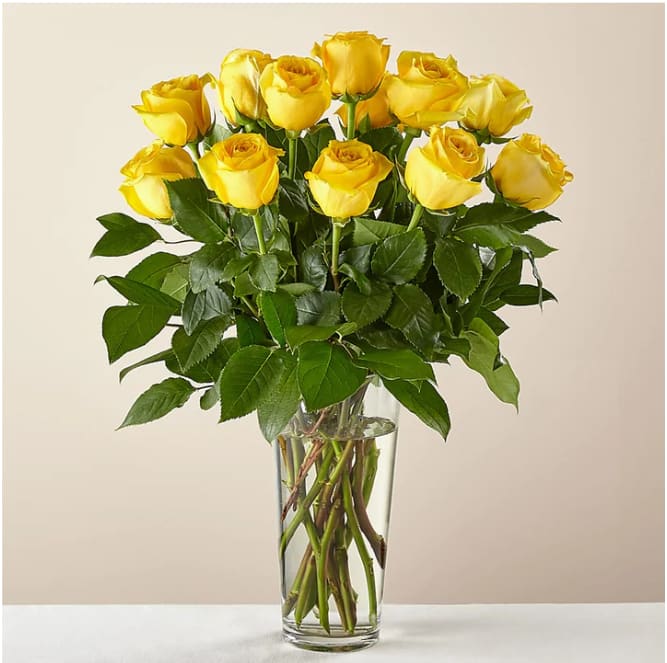 Long Stem Yellow Rose Bouquet - Nothing brightens someone's day quite like the sunny shade of yellow. While vibrant yellow roses are a symbol of friendship, this bouquet makes a welcomed gift for any loved one.  Please Note: The bouquet pictured reflects our original design for this product. While we always try to follow the color palette, we may replace stems to deliver the freshest bouquet possible, and we may sometimes need to use a different vase. DETAILS The Premium Bouquet is approximately 21&quot;H x 19&quot;W. A bouquet of 24 roses and foliage. Designed by florists, ready to display. For long–lasting blooms, replace the water daily. We suggest trimming the stems every couple days.
