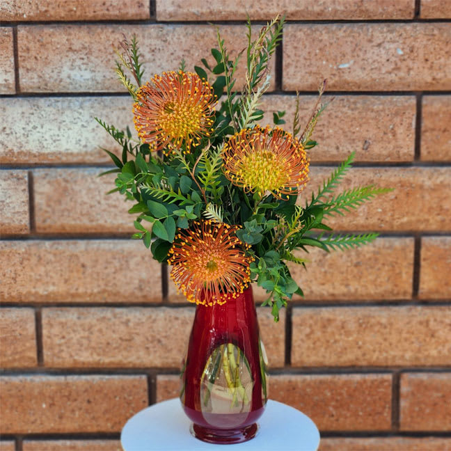 Fireworks - A gorgeous tropical display, featuring Pin Cushion Proteas and fresh garden greens in a designer red glass hurricane vase. Certain to make a statement! Standard size is approximately 8in (W) x 21in (H).  Standard - 3 Pin Cushion Proteas | Fresh Garden Greens | Red Glass Designer Vase  Deluxe - 4 Pin Cushion Proteas | Fresh Garden Greens | Red Glass Designer Vase  Premium - 5 Pin Cushion Proteas | Fresh Garden Greens | Red Glass Designer Vase  Care Tips: Place your bouquet in a cool location away from direct sunlight, heating or cooling vents, drafty places, directly under ceiling fans, or on top of televisions or radiators. Check water level daily, keep the vase full with clean water. Change water every 2-3 days and apply a sharp fresh cut to the stems to ensure extended flower's life span.