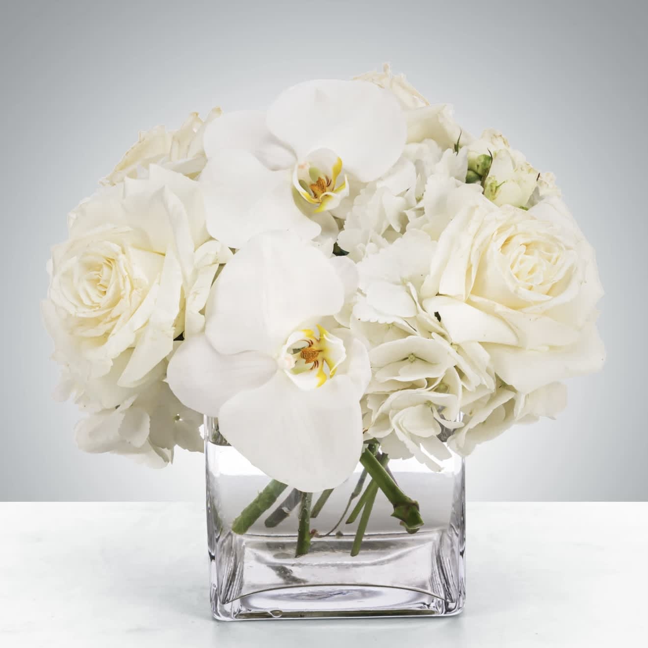 Linen  - This petite all-white arrangement featuring hydrangea and orchids is the perfect all-occasion gift. Send it for any holiday, event, or circumstance.  Approximately 9&quot; D