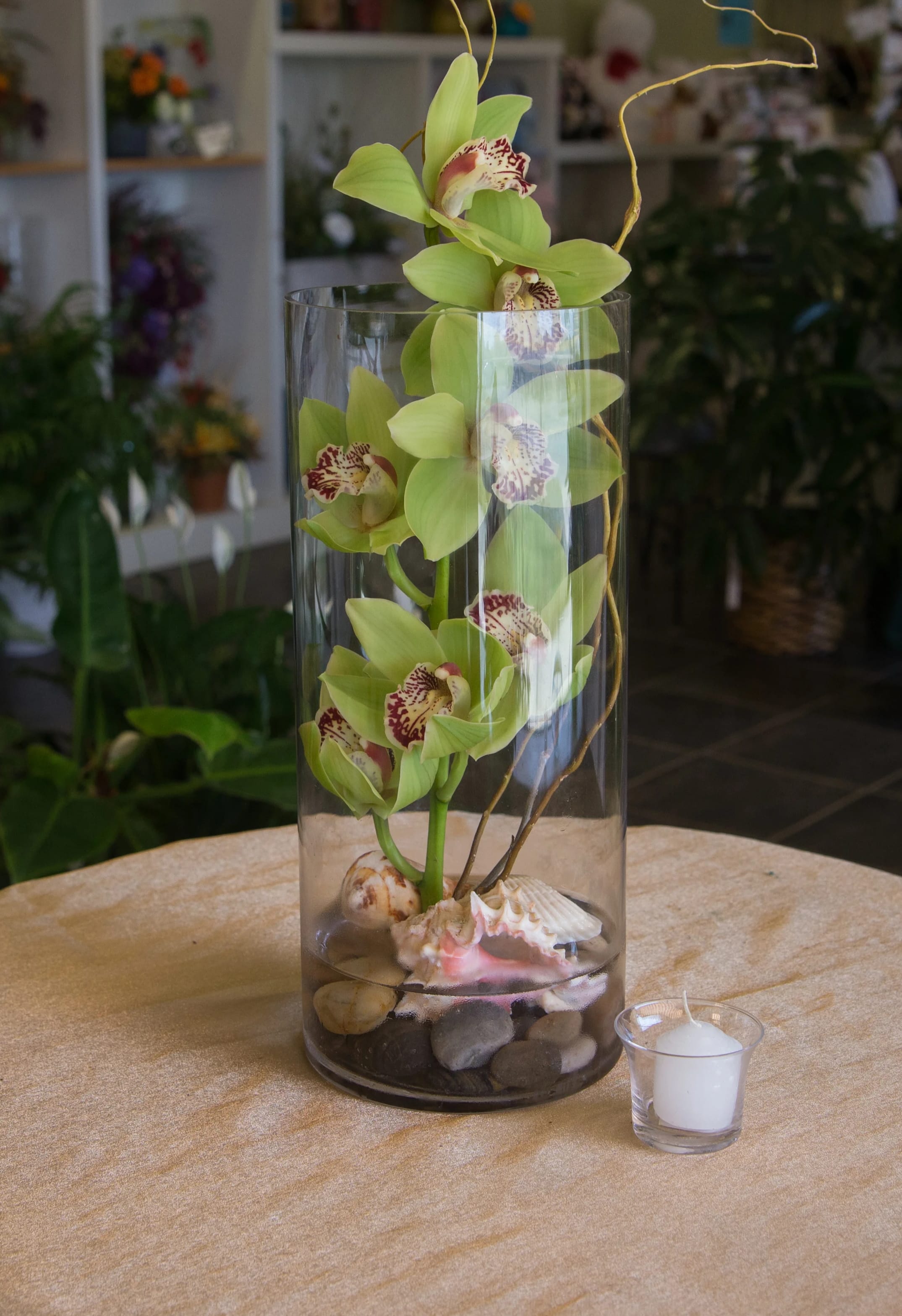 SIMPLY STATED - This cymbidium orchid in a cylinder vase is an elegant gift for any occasion.