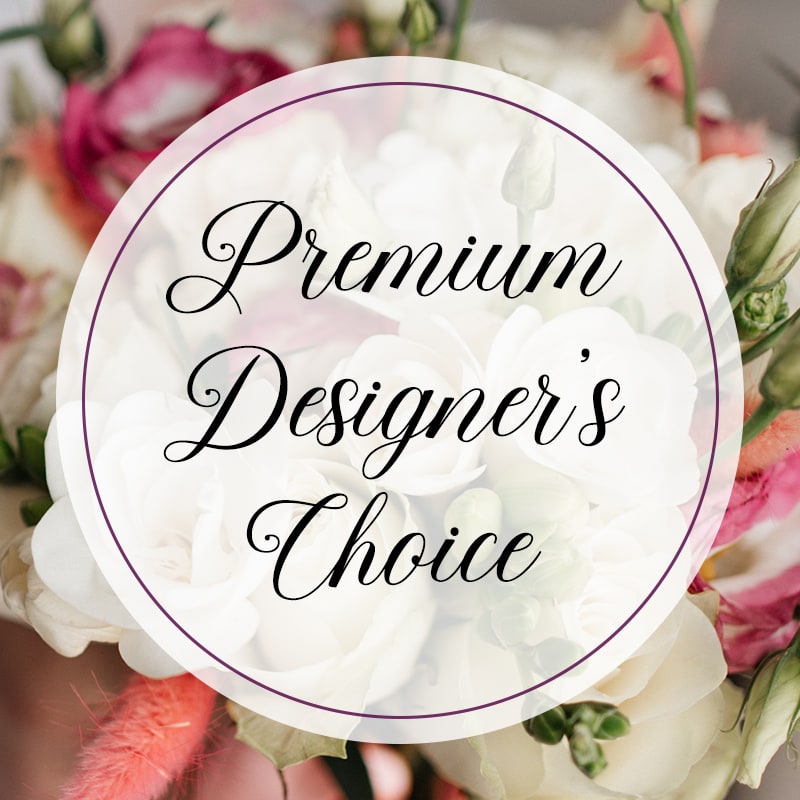 Premium Designer's Choice - Premium Designer's Choice
