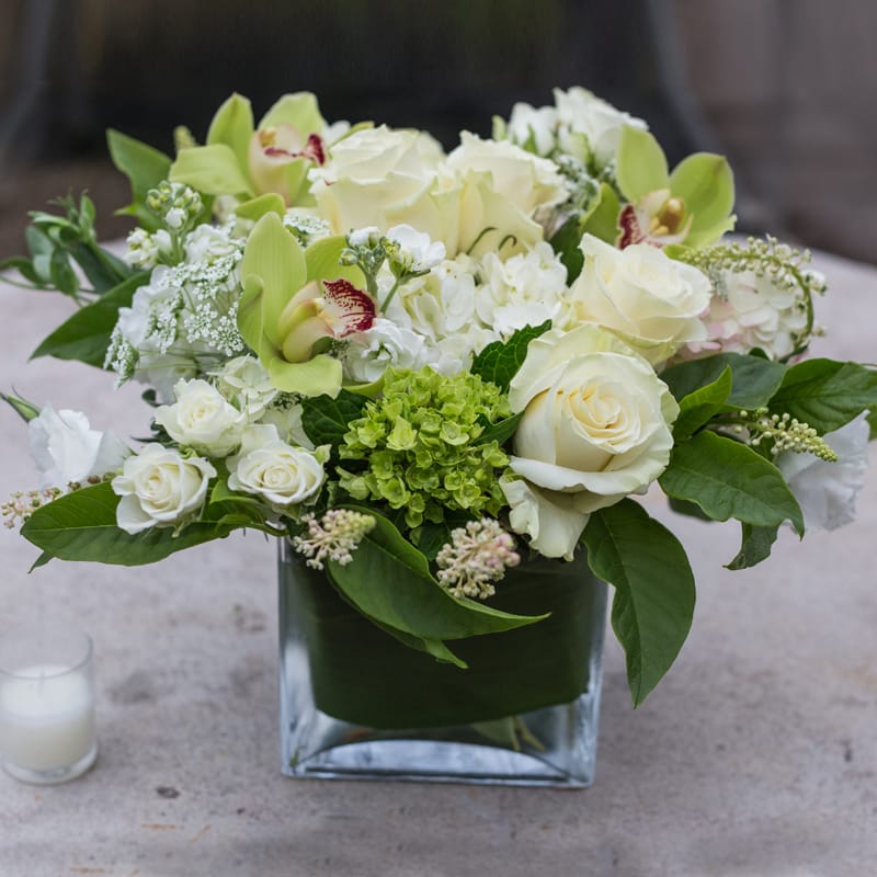 Green and white outlet flowers