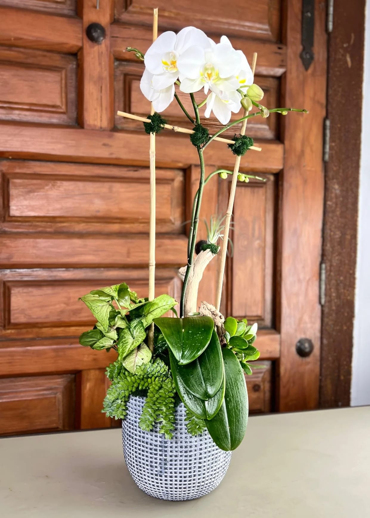 Single orchid  - distressed gray stone pot with a beautiful white orchid, succulents, driftwood and bamboo