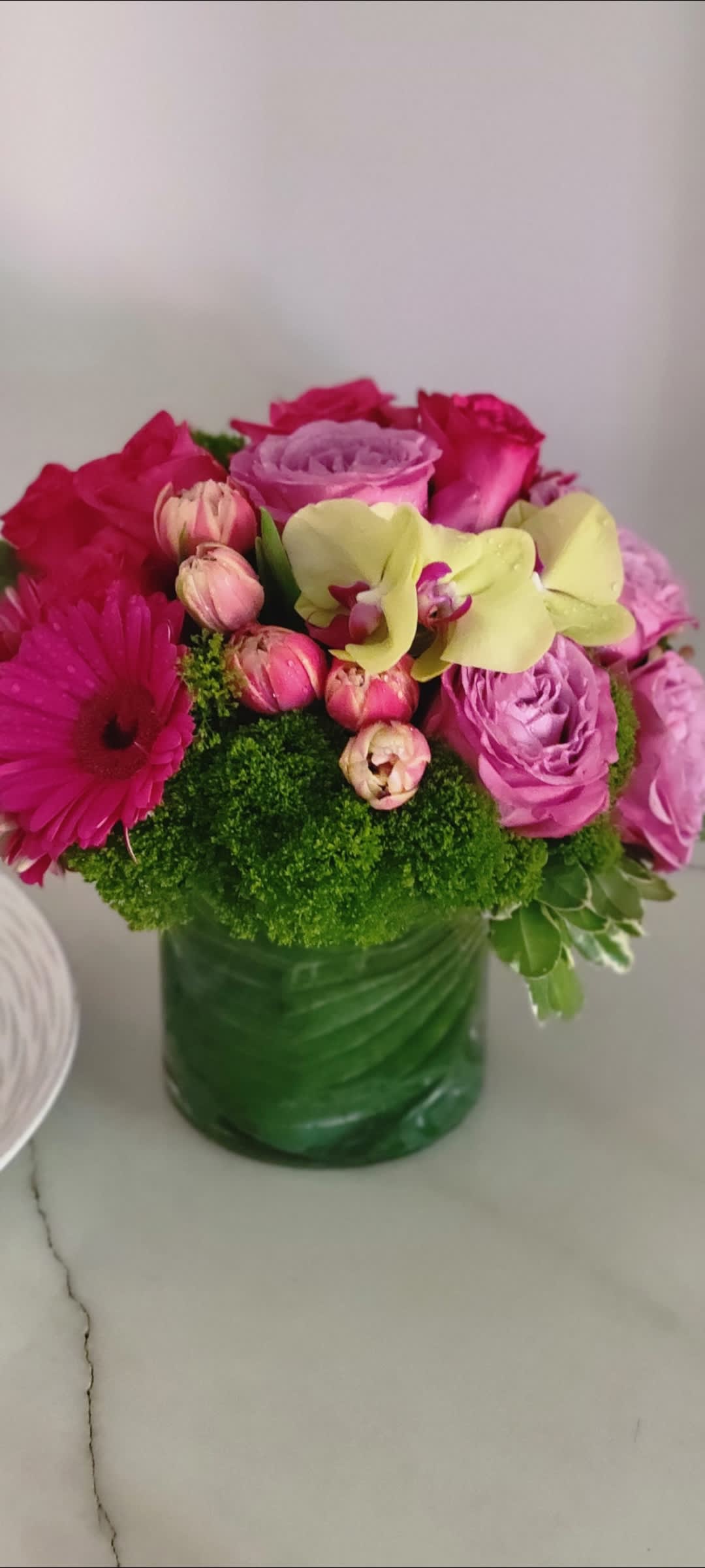 Choose to Shine - Tulips, roses, gerbera daisies, dianthus