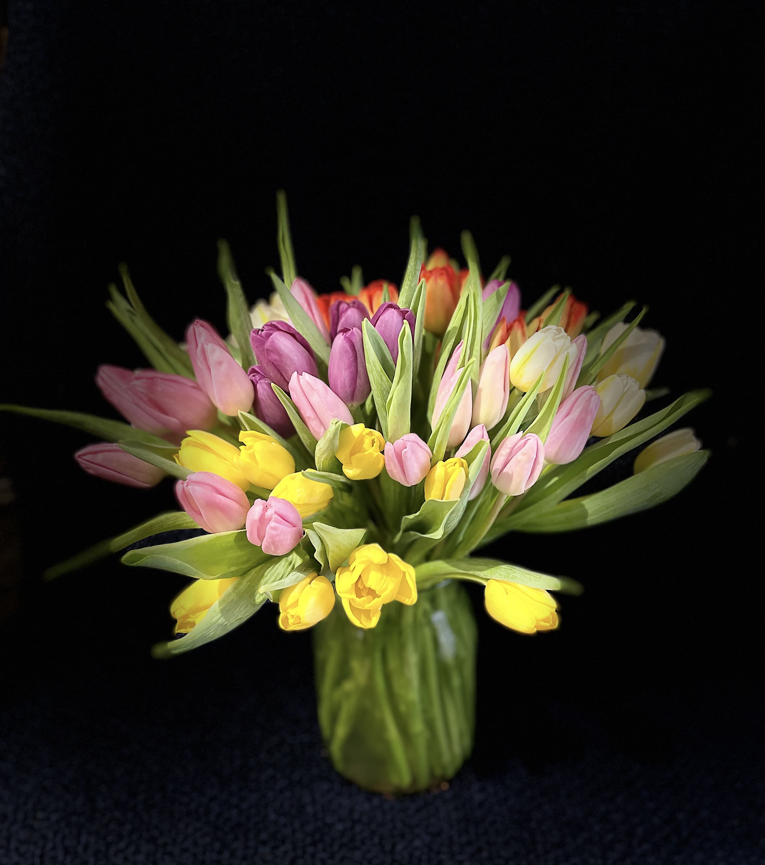 Tulip Explosion - Grouped mixture of tulips. 60 stems in a clear vase. Colors may vary but will always be a show!