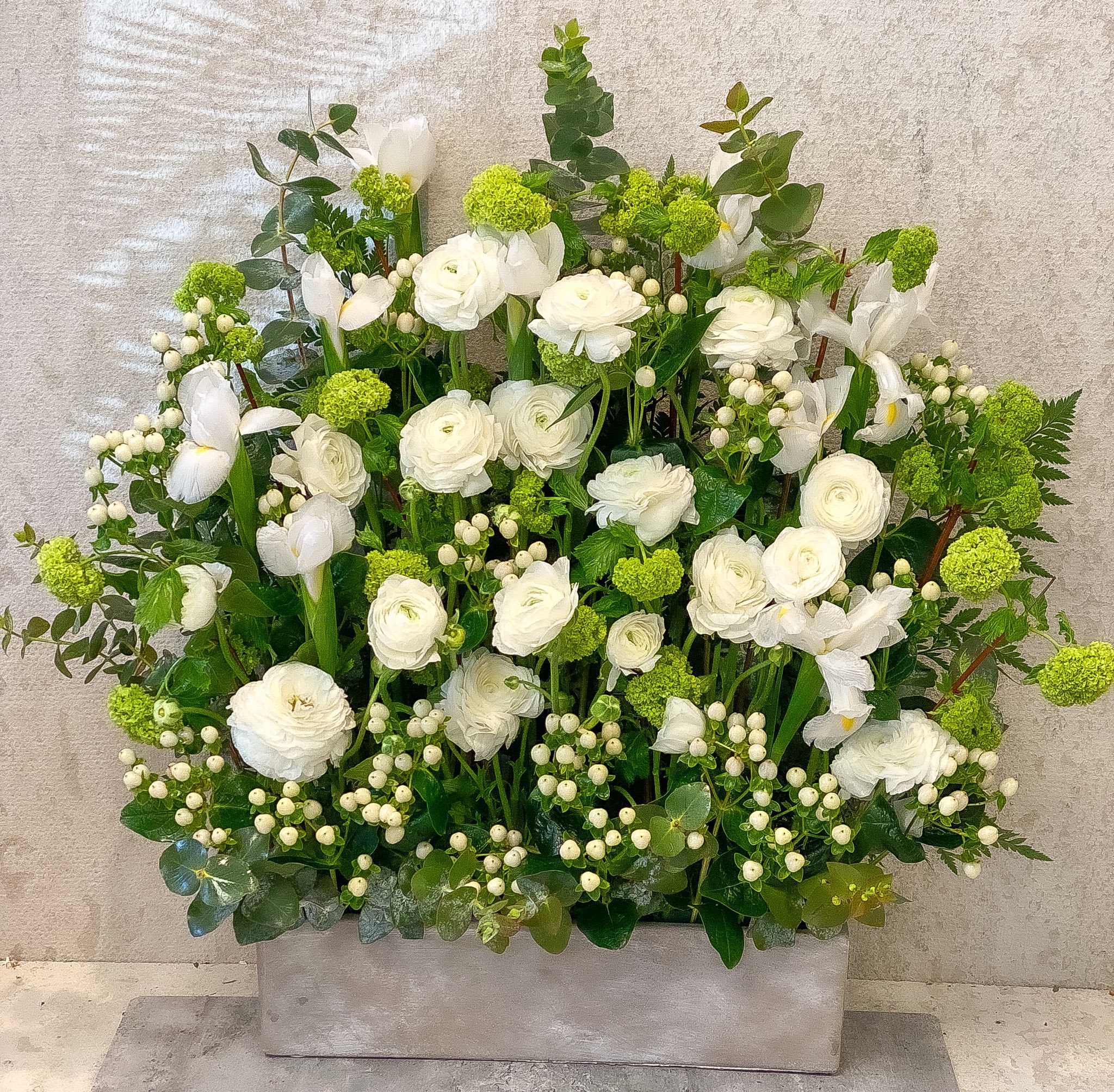 White Ranunculus - Standard- Your order will be arranged approximately as shown on our website. 
