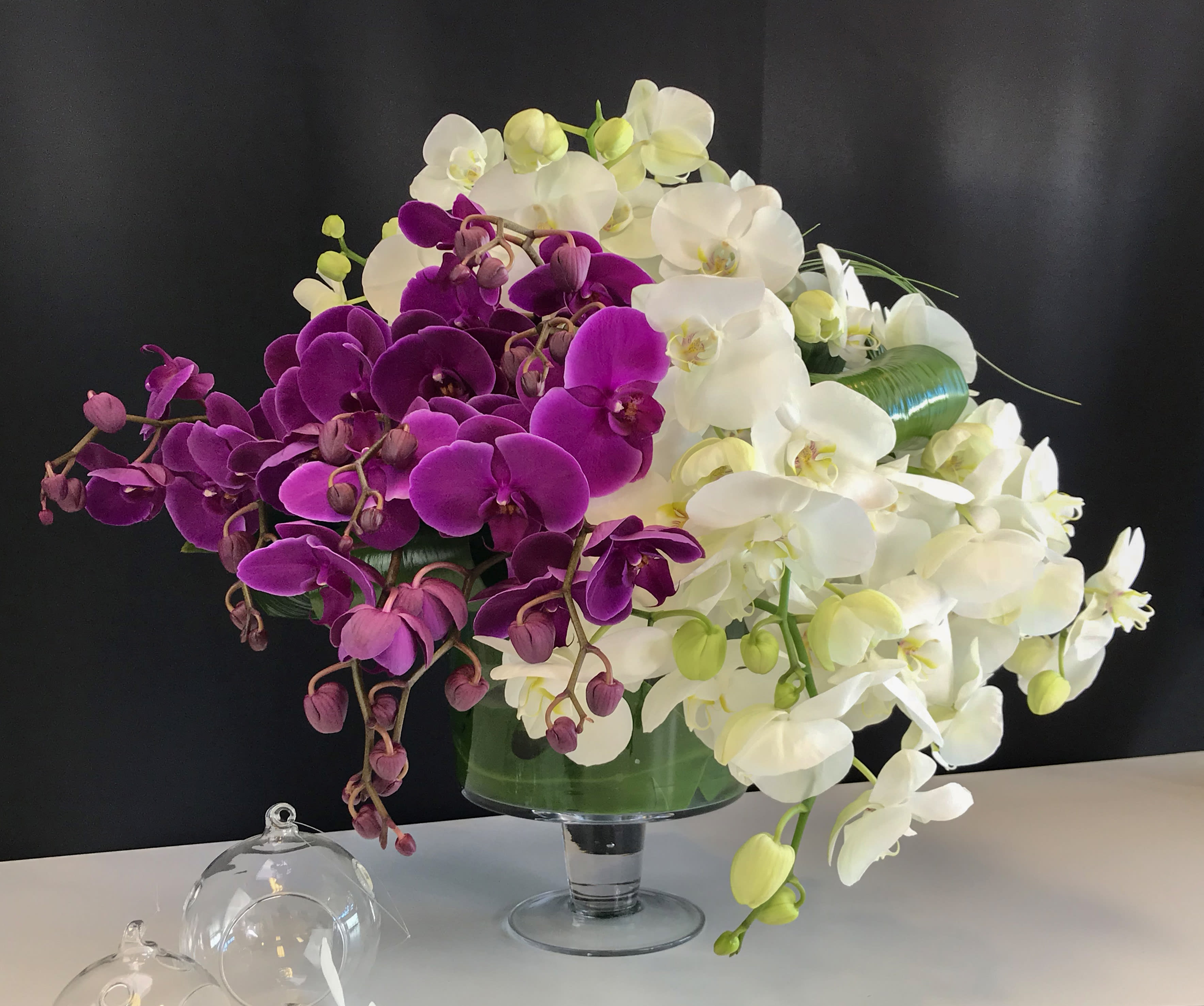 Orchids paradise  - Phalaenopsis orchids arrangement in clear modern vase with greenery. 