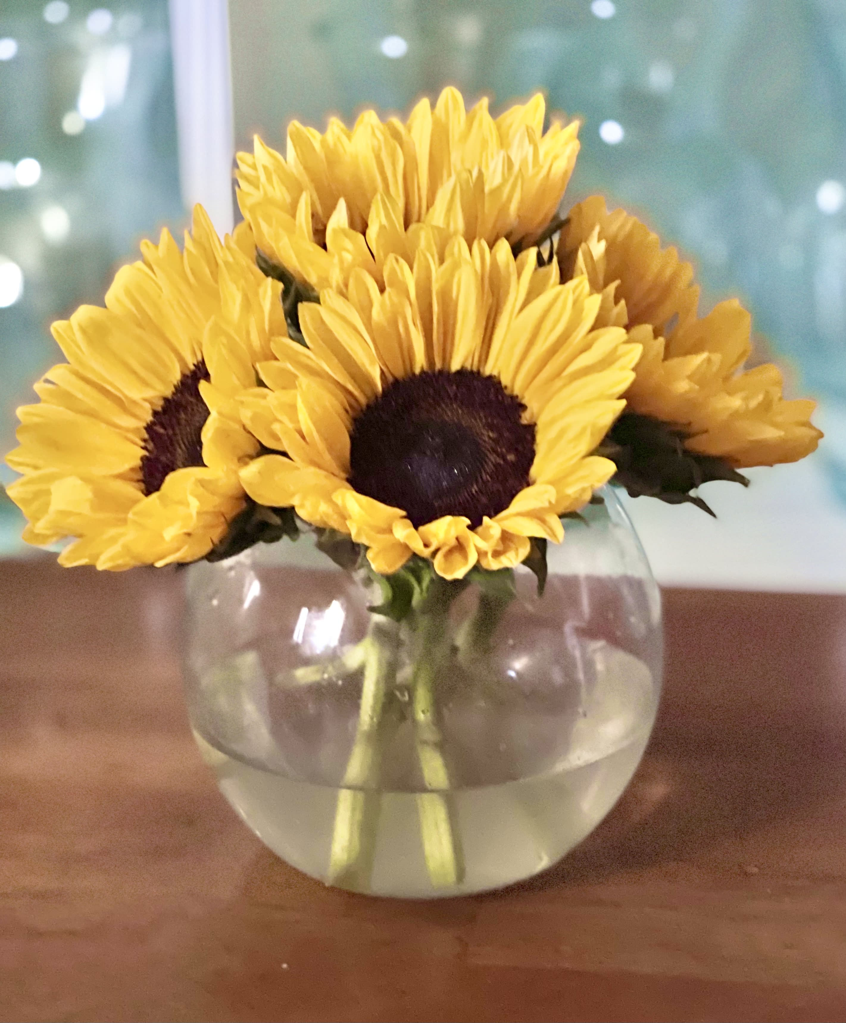 Simply Sunshine - Fresh sunflowers in a clear bubble bowl. Greens can be added if requested 