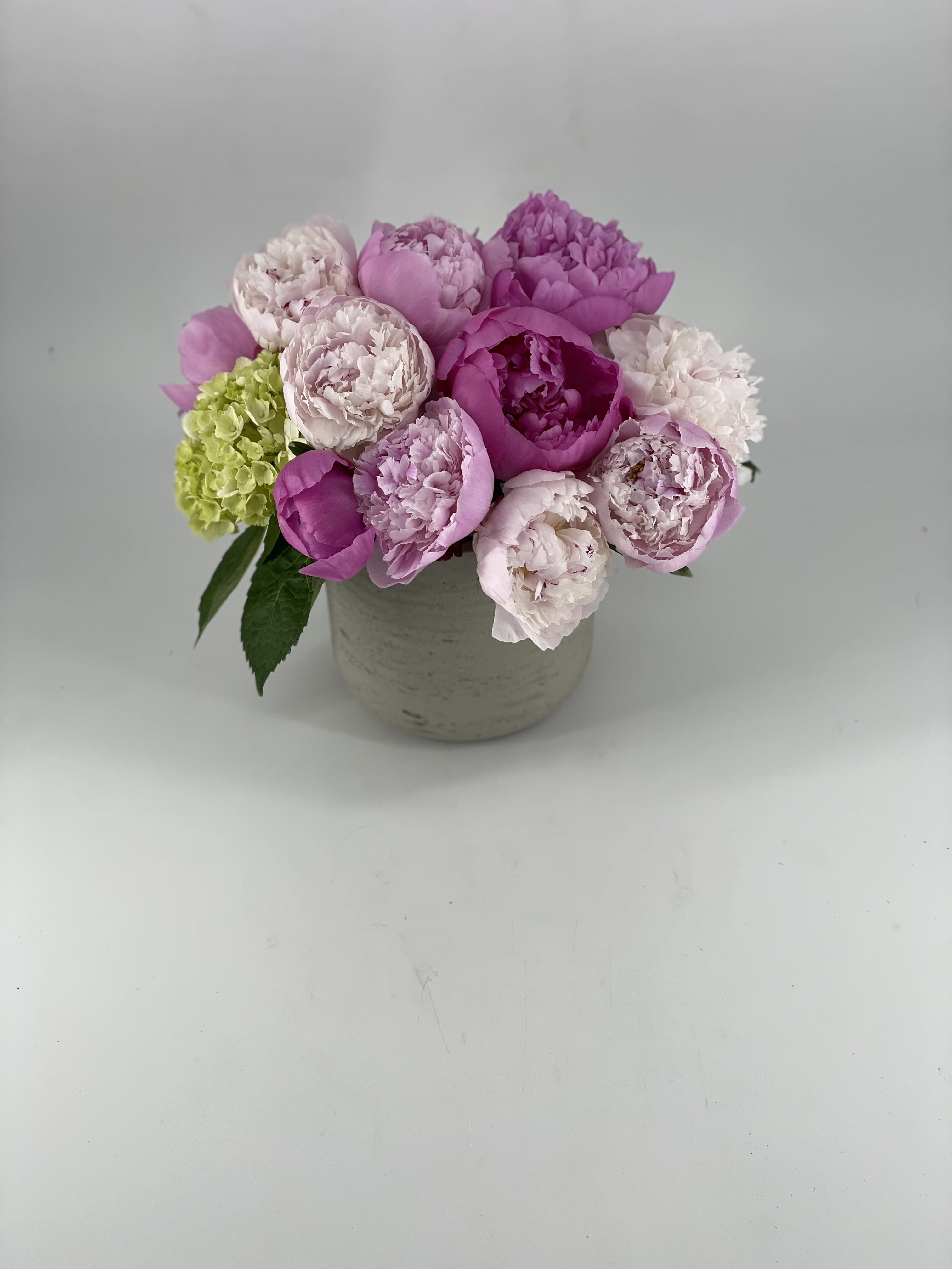 Aries Glory - The Spring Equinox was first marked thousands of years ago when the Sun was spotted in the Aries constellation. This event marked the first day of spring. Every Spring, at its glory , Peonies Blossoms are in their glory with their beautiful bloom and delightful fragrance. Capture a little bit of the glory for yourself in this Peony filled arrangement, accented with Hydrangea .