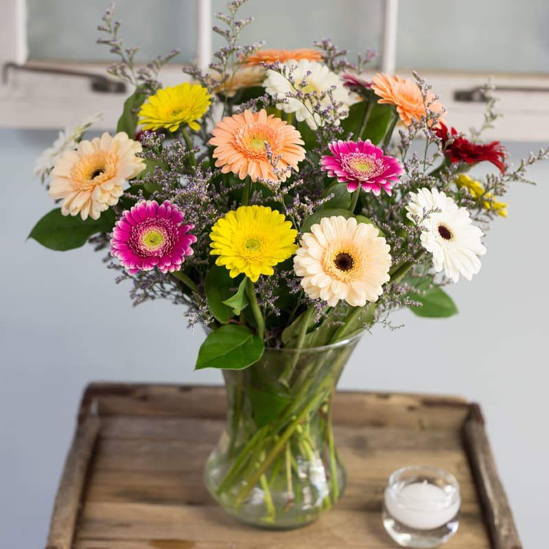 Gerbera Daisy Lovers - Simply a vase arrangement of all mixed gerbera daisies with a small accent flower. Colors of gerberas will vary from picture depending on availability. 