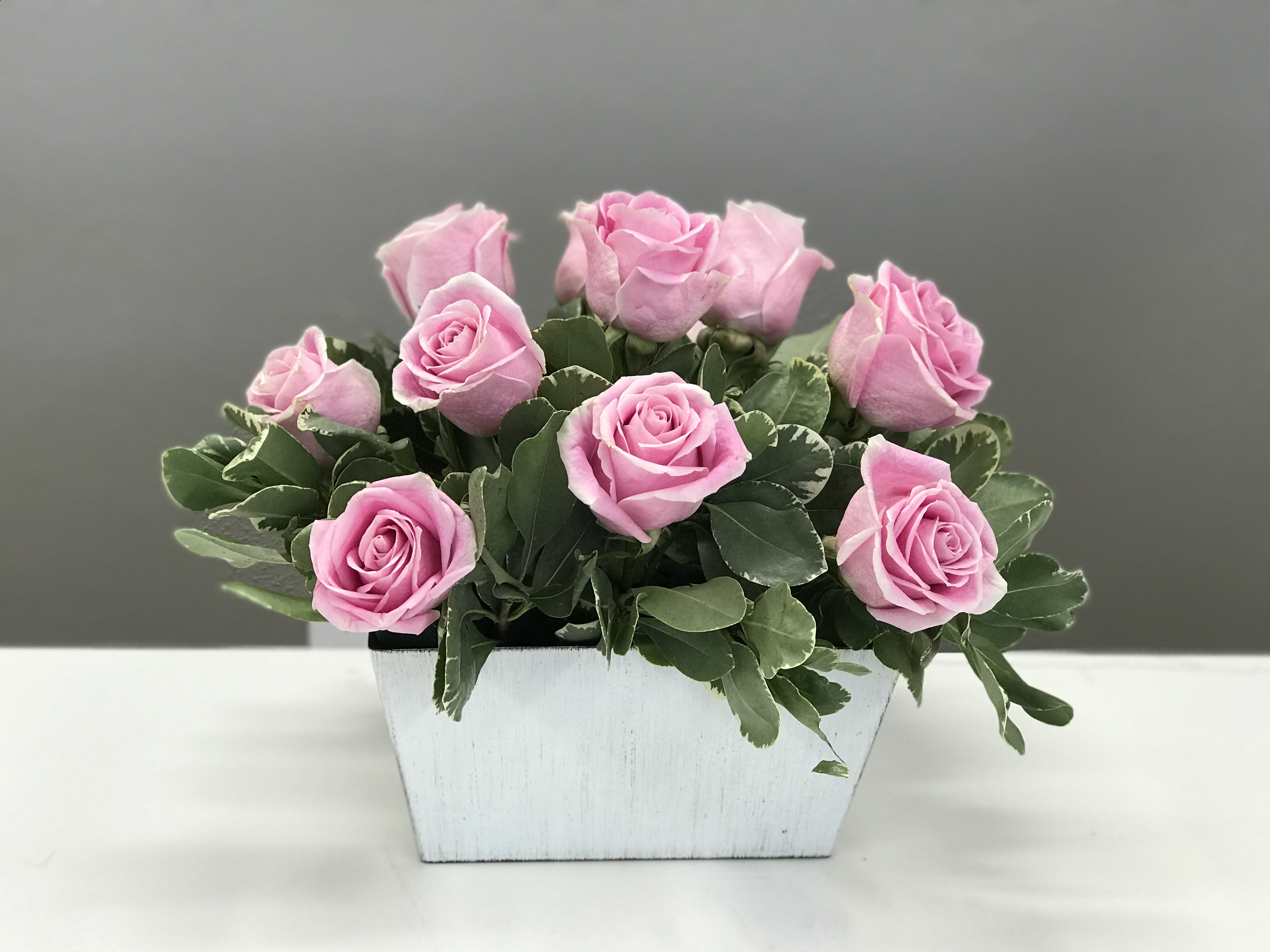 Rosé all Day Rosé all Day - One dozen light pink roses staggered amongst fresh greens for a light, fun, flirty feel. Birthdays, anniversaries, or Breast Cancer Awareness Month are just a few great holidays to celebrate with this little beauty.