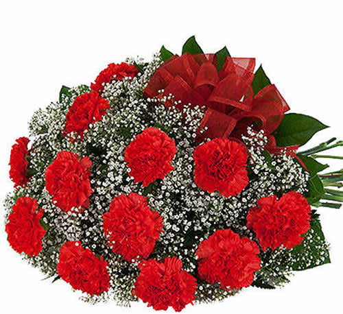  Dozen Long WRAPPED BOUQUET  - Beautiful wrapped bouquet of one dozen long lasting and economical red carnations with added baby's breath, greenery and red bow. This bouquet is a popular and favourite gift for shoppers with an eye to value. . A long lasting
