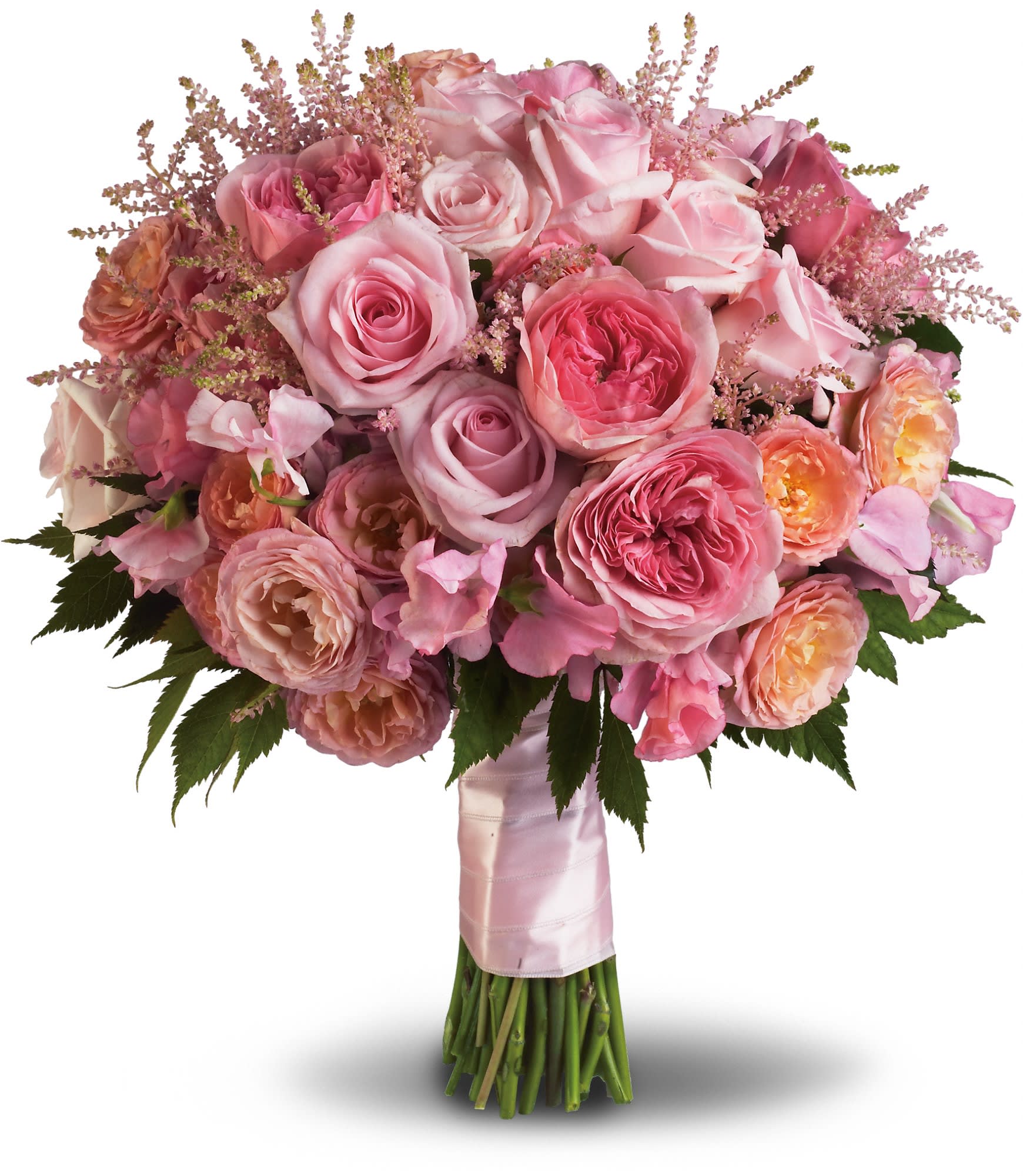 Blush pink rose varieties new arrivals