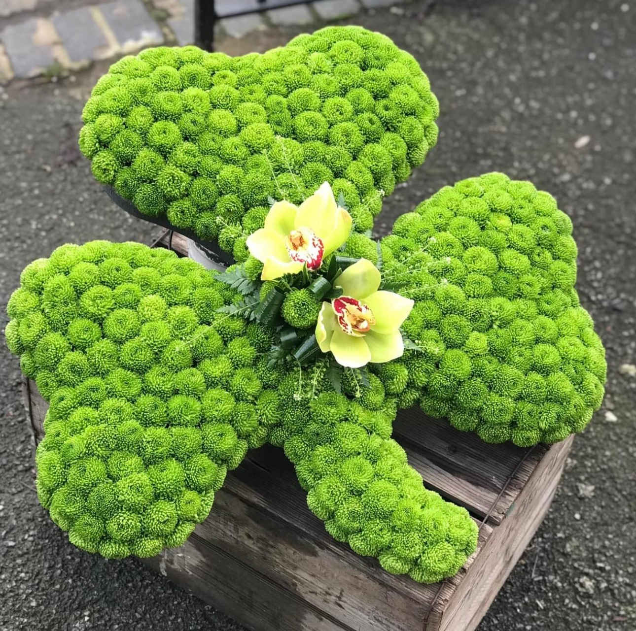 Shamrock Remembrance Shamrock Remembrance - This beautiful piece is filled with Green Buttons and a small accent of cymbidium orchids. Sizing is approximately24 inches in height and 30 inches in diameter. Piece is displayed on an easel