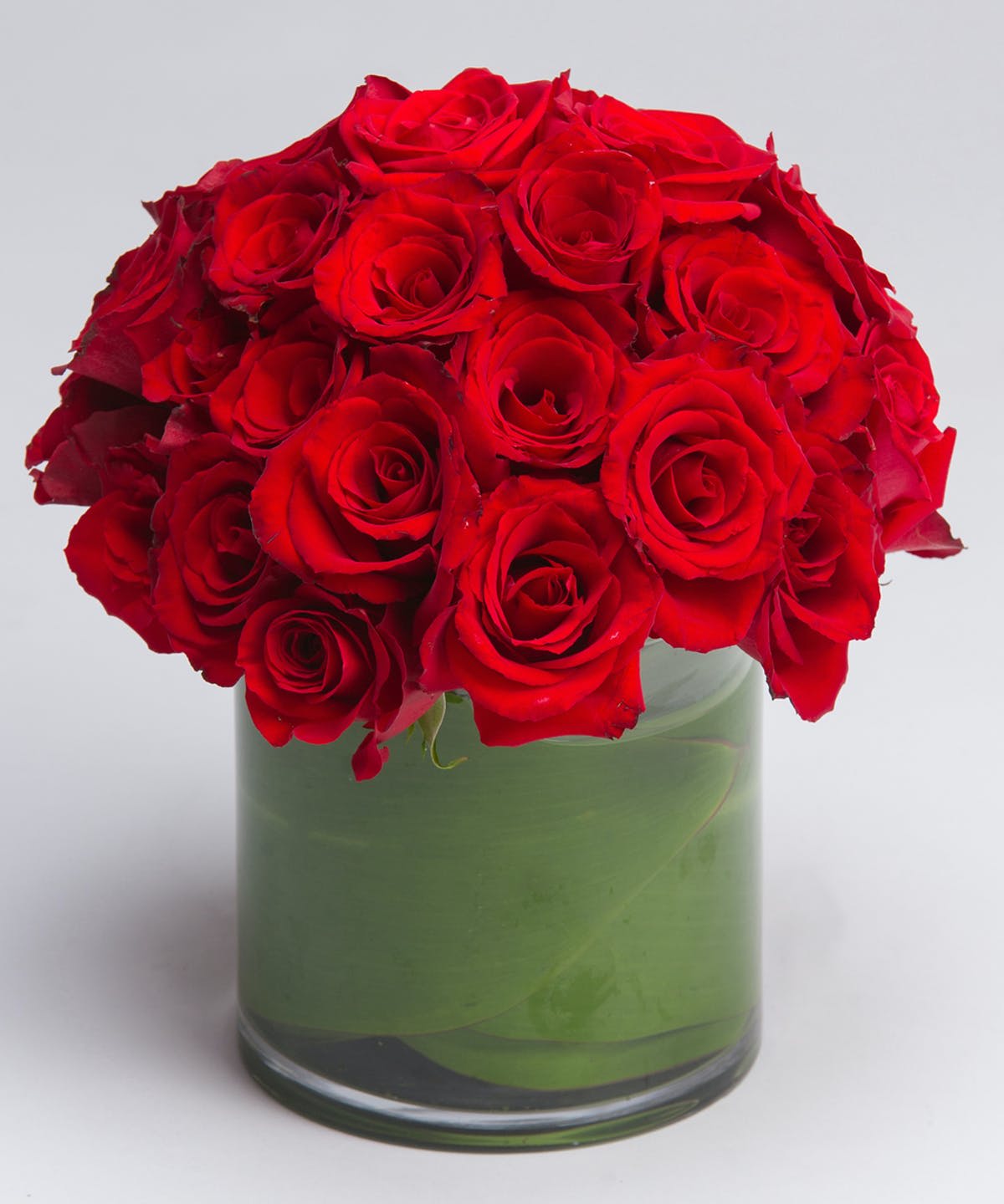 Crimson Roses - A low and lush arrangement of all red roses in a leaf-lined cylinder vase - a modern twist to a timeless gift.