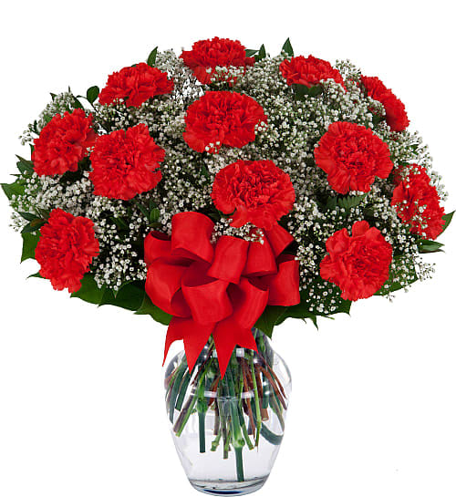 One Dozen Red Carnations - One dozen long lasting red carnations arranged in a clear glass vase with ample baby's breath, greenery and matching red bow.