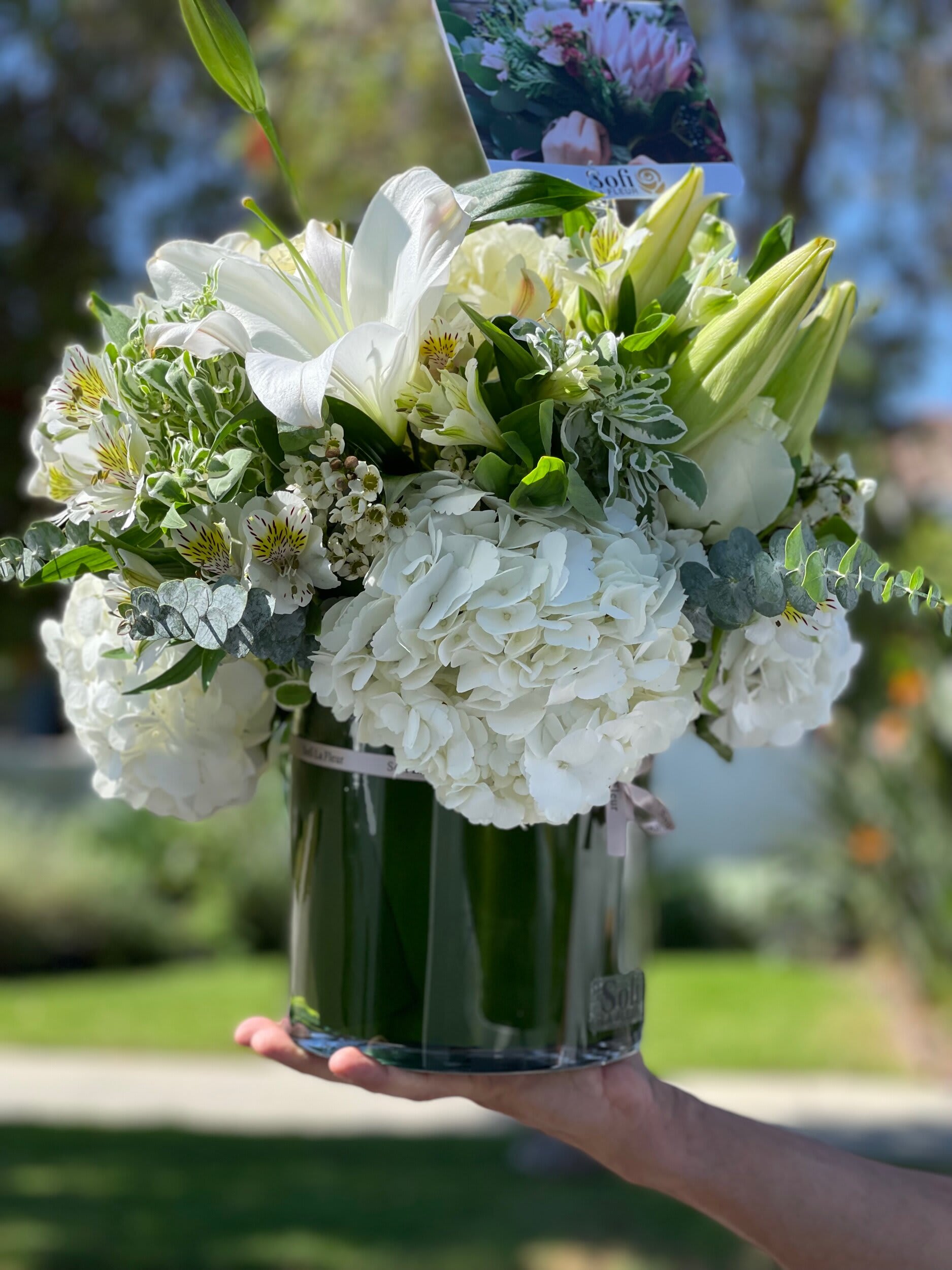 Elegant White - A simply splendid way to surprise someone special! Hand-delivered in a stylish, vase, This sophisticated, sunshiny arrangement of hydrangea and roses is an instant pick-me-up ! This chic arrangement includes miniature green hydrangea,  white roses, white alstroemeria,  green carnations, green button spray chrysanthemums, galax leaves and a ti leaf. Delivered in a clear glass vase. 