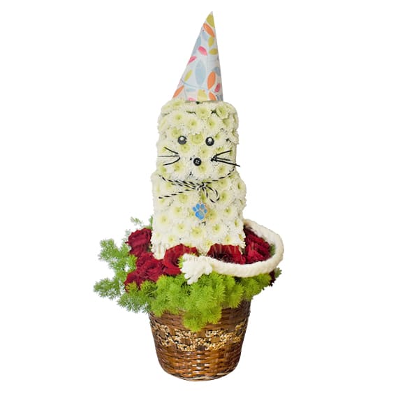 Cottontail - This 30 inch fun arrangement is especially for our pet lovers. Created in a basket, adorned with roses and fern , cottontail is a friendly fresh flower kitty who is ready to win your heart . This arrangement must be ordered 48 hours ahead .Please give us a call before you order this arrangement.