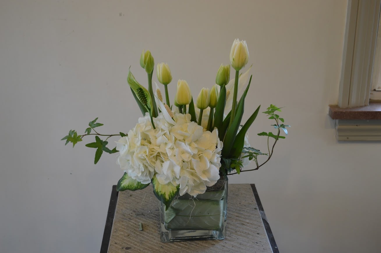 Modern Simplistic White Arrangement - A simply elegant arrangement of white tulips and hydrangea for a more modern look 