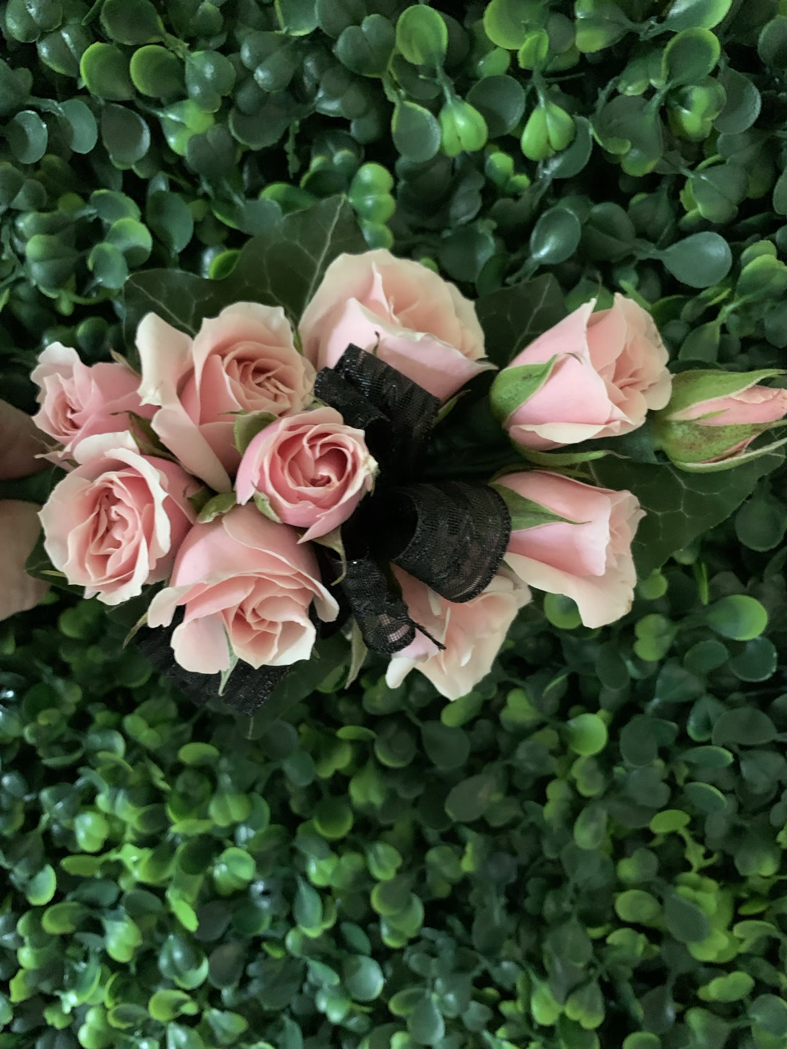 Pink Corsage  - This is the perfect corsage for your prom or homecoming.  Fresh pink spray roses and a complimenary ribbom.   This corsage has a black ribbon but can be changed to another color to compliment your attire