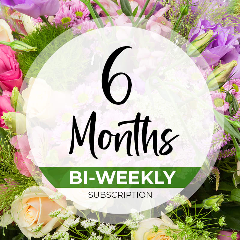 6 Months Bi-Weekly Subscription  - 6 Months Bi-Weekly Subscription 