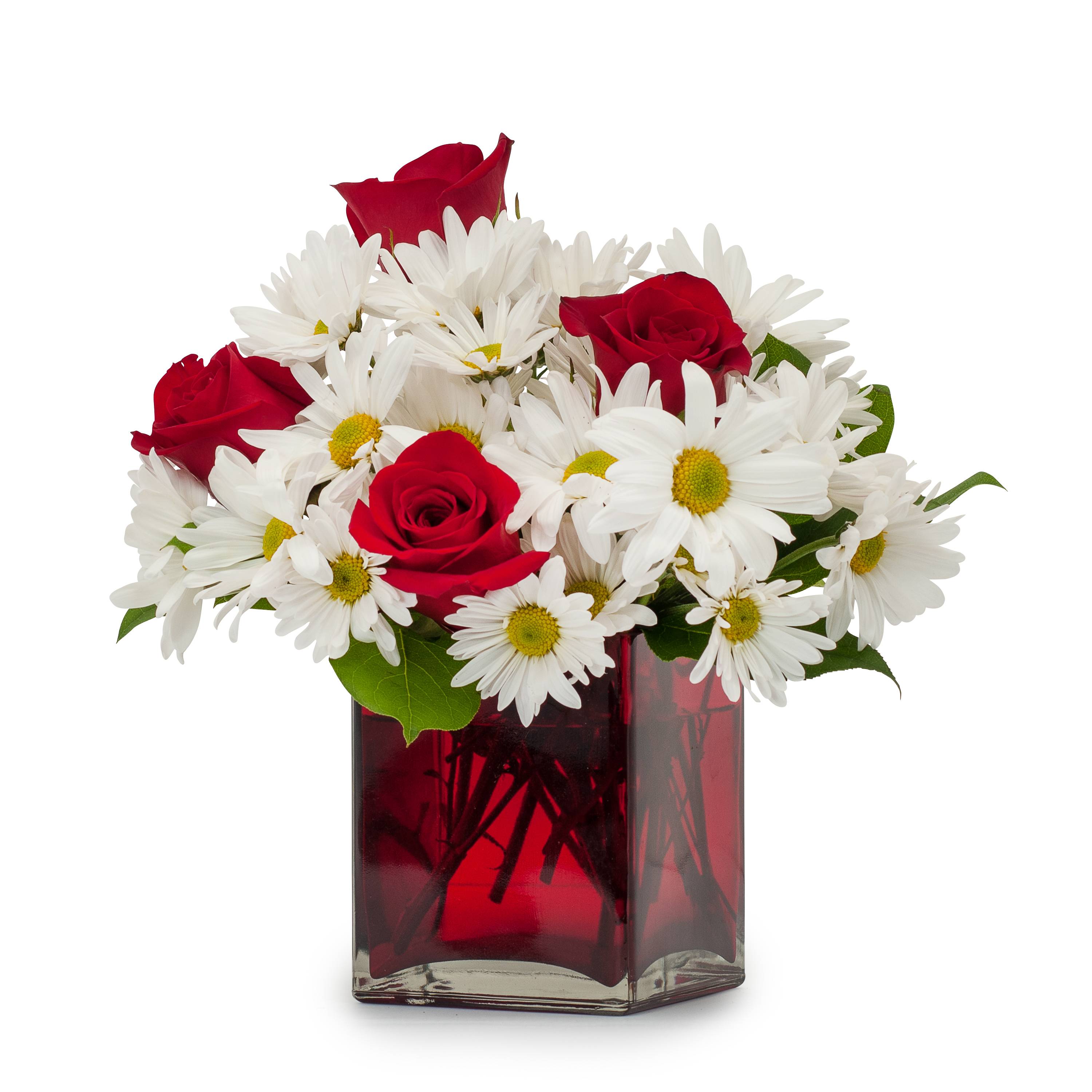 Affection  - A red cube filled with white daisies and 6 red roses. Approximately 10&quot;W X 10&quot;H