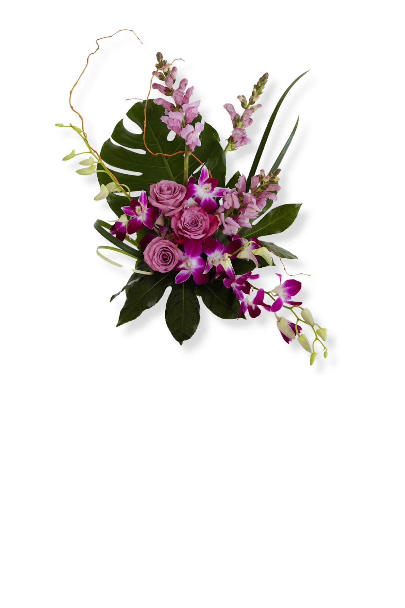 Purple Tropics in El Cajon, CA Wild Orchid Florist