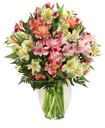 ALLURING ALSTROEMERIA - Capture their attention with these springtime flowers! Yellow, pink, and hot pink alstroemeria make the perfect spring arrangement