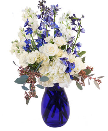 Sapphire Blue - Beautiful white stock and blue larkspur tower above white spray roses and hydrangea in our Hints of Sapphire arrangement. With a calming balance of white and blue, this vase of florals will be a delight to receive. 