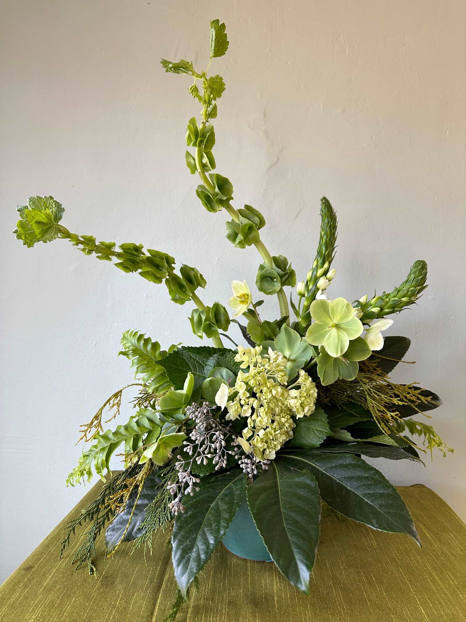 Celebrating the Green - You don't have to be Irish to celebrate St. Patrick's Day!!   Who wouldn't love to enjoy this beautiful arrangement with its mix of dark &amp; light greens with a little pop of color in a moss basket!! 