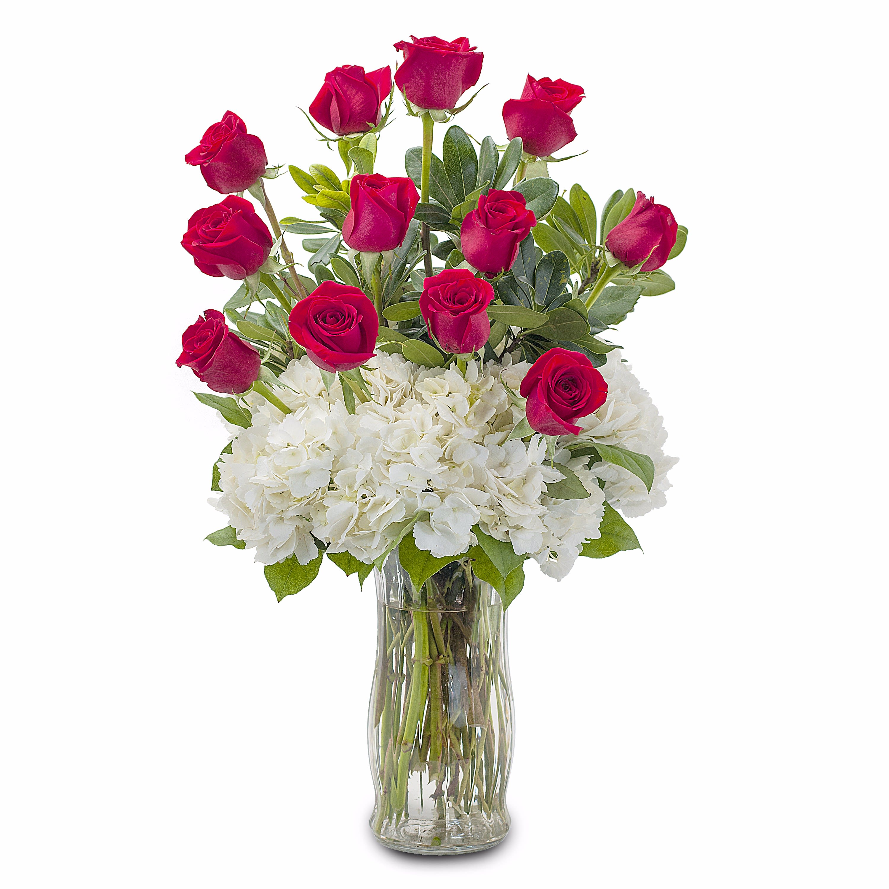 Impress Her TMF-336 - A classically gorgeous arrangement of a dozen red roses, accented with Hydrangea to really make an impression. Approximately 8&quot; W X 18&quot; H
