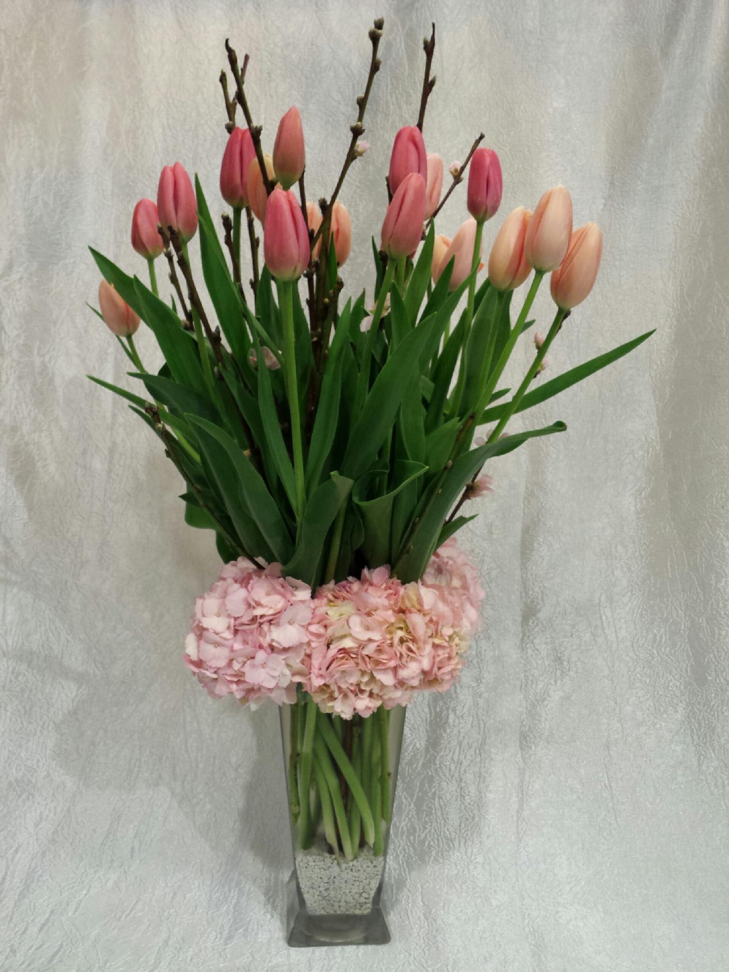 Tulips and Blossoms - Tall tulips arranged in a vase with blossoms and hydrangeas. Perfect for Spring.