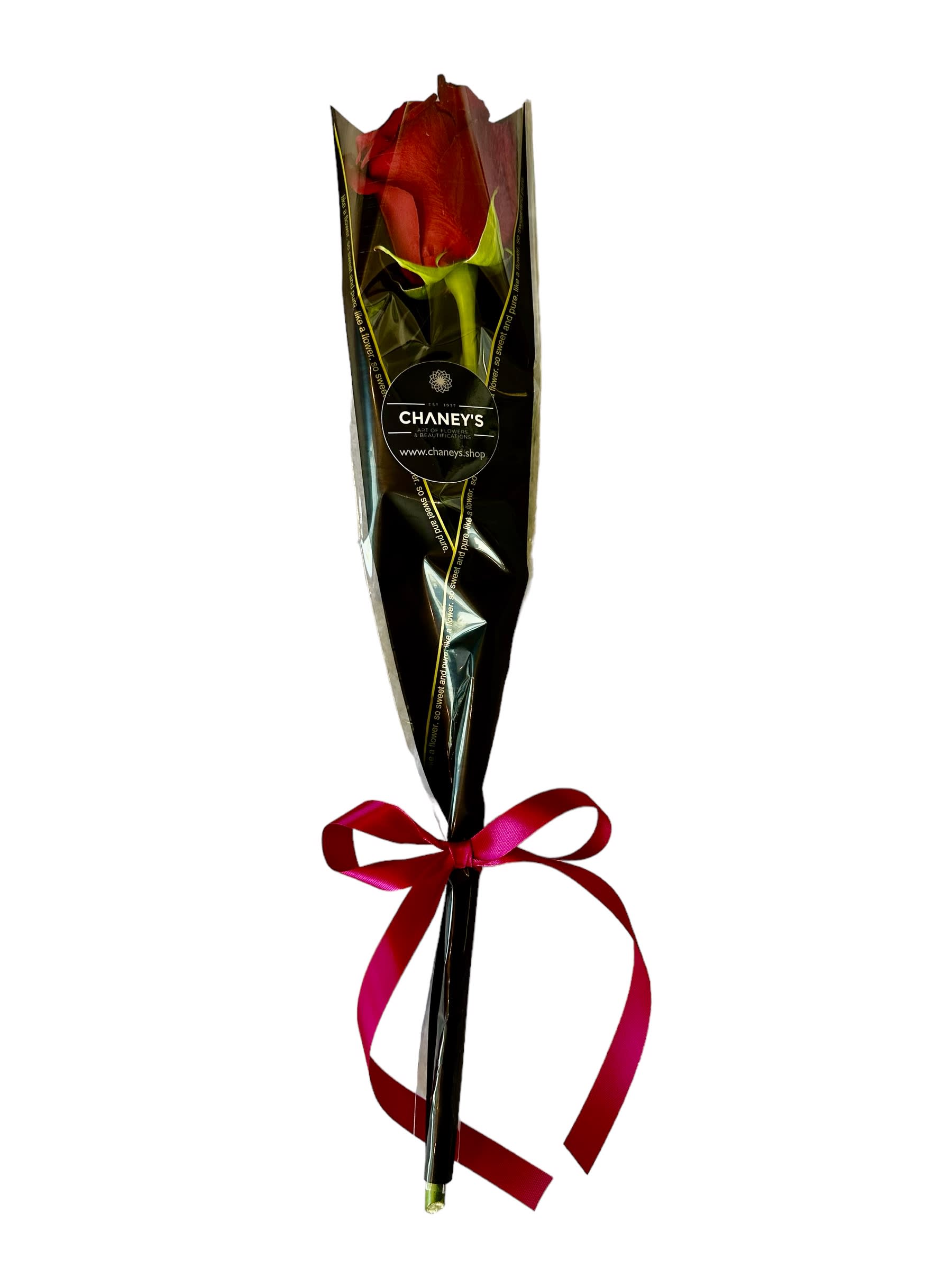 Chaney´s Single Red Rose - 1 beautiful fresh cut long stem rose wrapped with a ribbon. The perfect gift for any occasion!