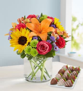 Floral Embrace™ with Strawberries - EXCLUSIVE Surprise someone very special with a pair of delightful gifts! Our best selling arrangement of the freshest roses, lilies and sunflowers arrives with a classic treat of plump, juicy strawberries dipped &amp; decorated to perfection.  All-around arrangement of hot pink roses and carnations, orange Asiatic lilies, orange Peruvian lilies (alstroemeria), Athos poms, medium sunflowers, lavender stock, and variegated pittosporum Lilies may arrive in bud form and will open to full beauty over the next 2-3 days Artistically designed in an elegant glass cylinder vase; measures 6&quot;H Large arrangement measures approximately 13&quot;H x 13&quot;L Medium arrangement measures approximately 12&quot;H x 12&quot;L Small arrangement measures approximately 11&quot;H x 11&quot;L Our florists hand-design each arrangement, so colors, varieties and container may vary due to local availability 12 dipped strawberries decorated with white and milk chocolaty swirls All of our dipped fruit is covered in delicious chocolaty confections Hand-crafted and designed by local shops Arrives in a in a Fruit Bouquets branded box Delivered fresh to their door with Same-Day Delivery Allergy Warning: Fruit Bouquets products may contain peanuts and/or tree nuts. We recommend that you take the necessary precautions based on any related allergies