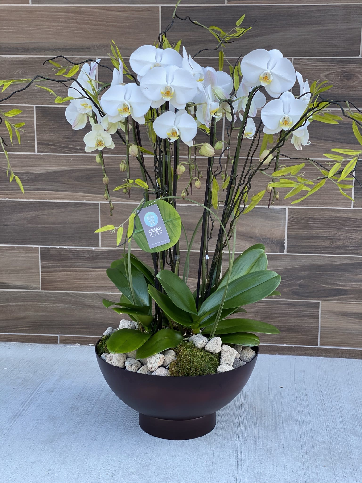 Modern Orchid - Metallic brown earth color toned bowl with charming orchids, stone and rocks as base