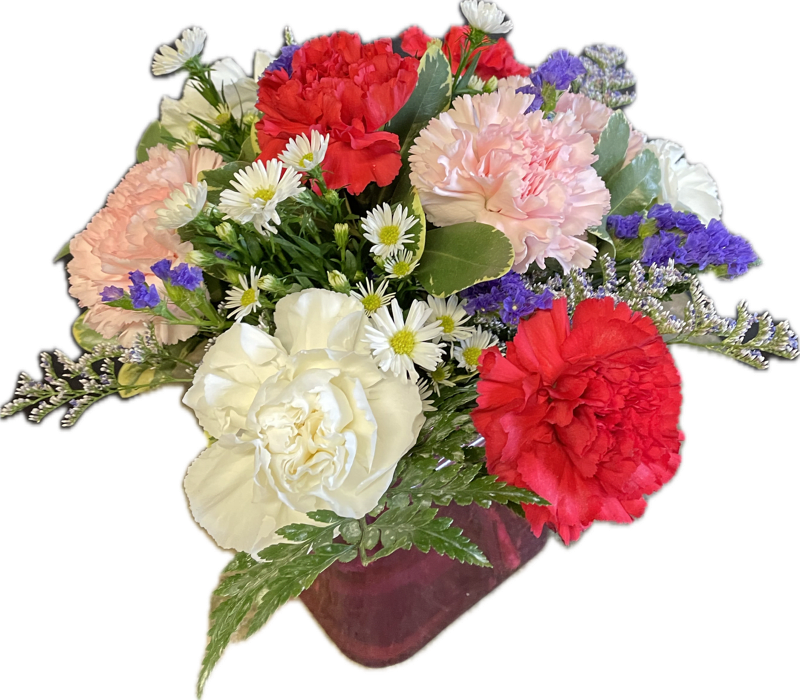 Color Me Carnations Bouquet by Moss' Flower Shop & Flower Delivery