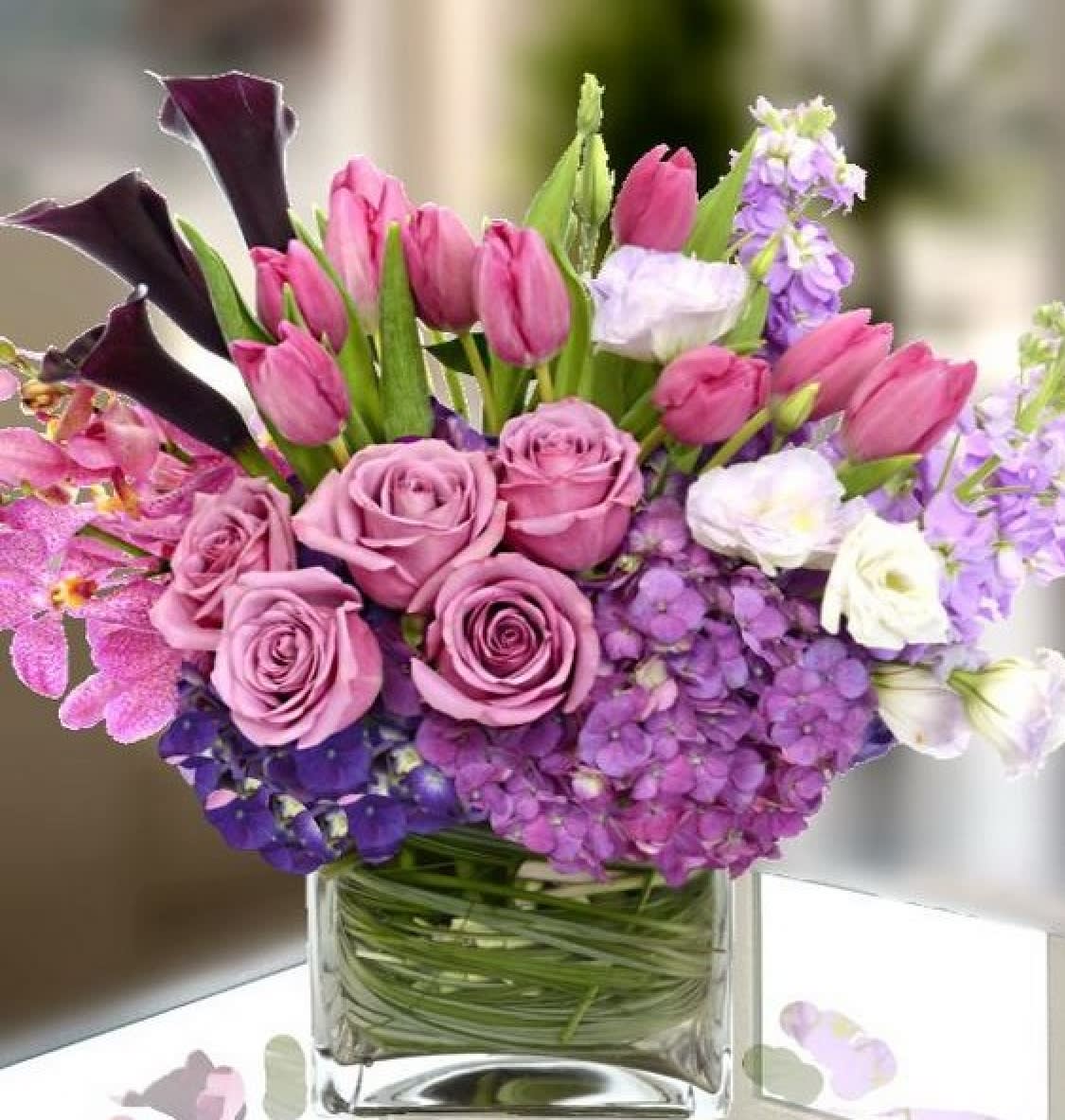 Milan Milan - Beautiful shades of seasonal purple and plum flowers tucked in clear vase. This beautiful arrangement will make your loved ones happy and special. Illuminate someones day with these flowers.