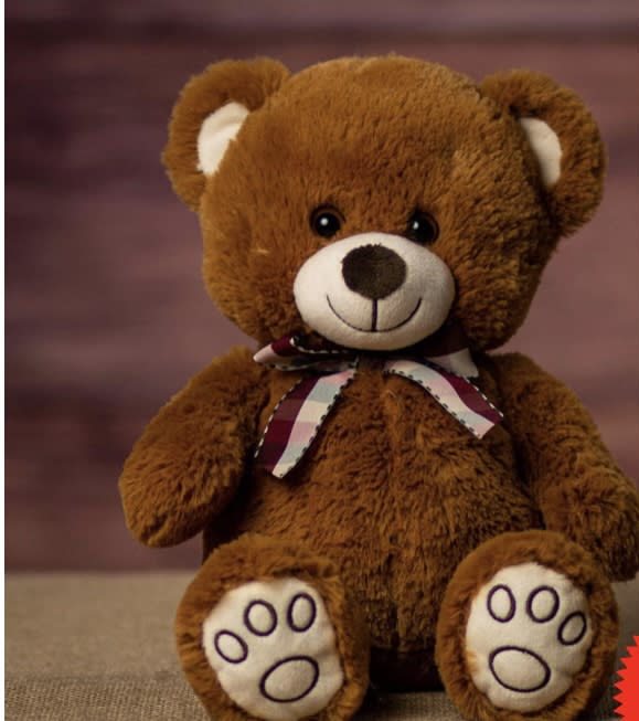13 Paw Print Teddy Bear