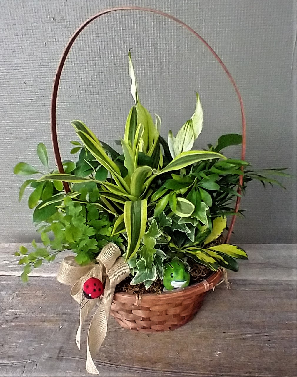 Green Plant Basket Deluxe - A lovely basket with a variety of 7-10 green and variegated plants. Finished with a decorative animal enjoying the lush setting. These plants love Humboldt weather.