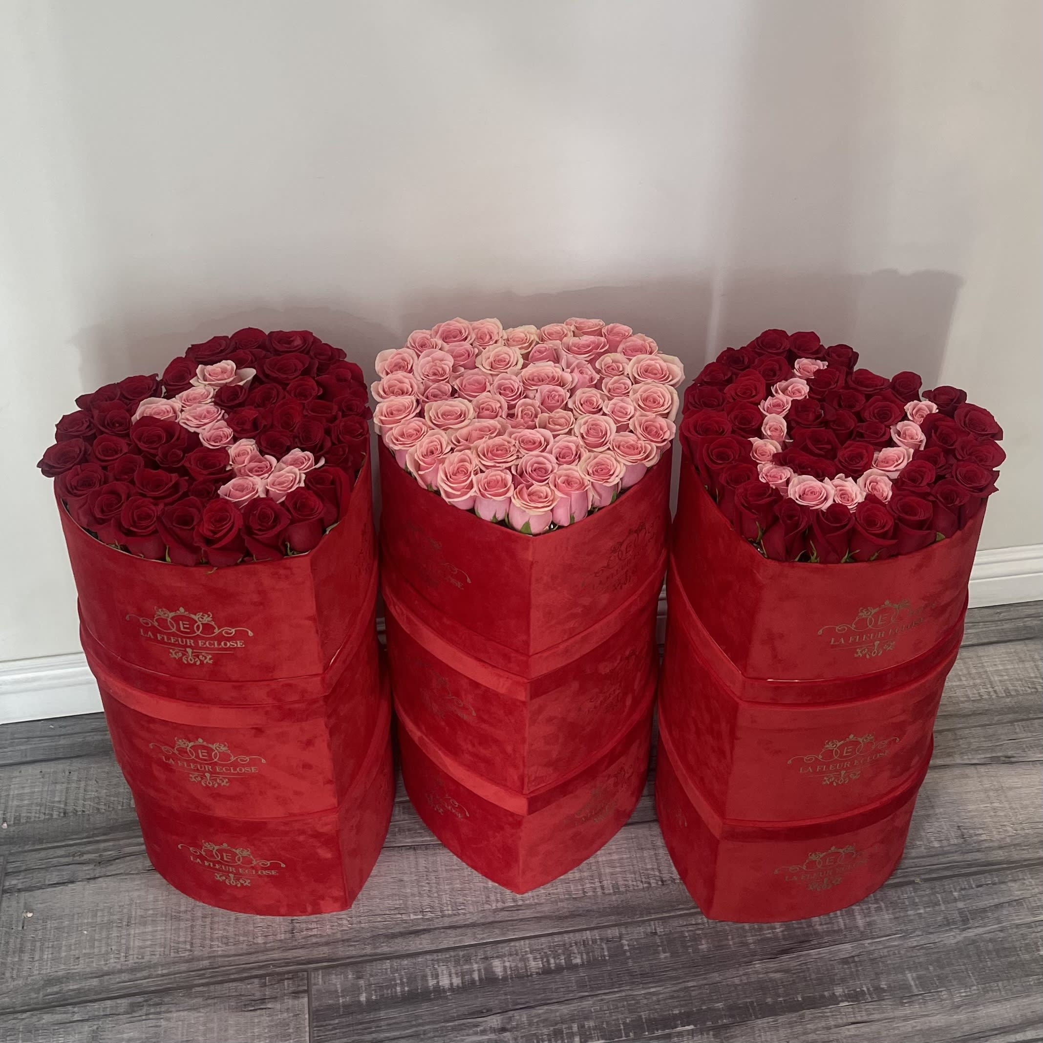Is it Valentine’s Day Yet? V - Fresh red and pink roses. 